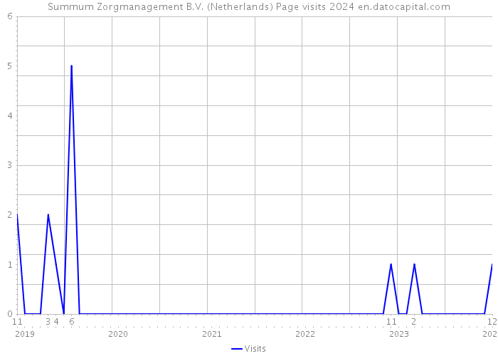 Summum Zorgmanagement B.V. (Netherlands) Page visits 2024 