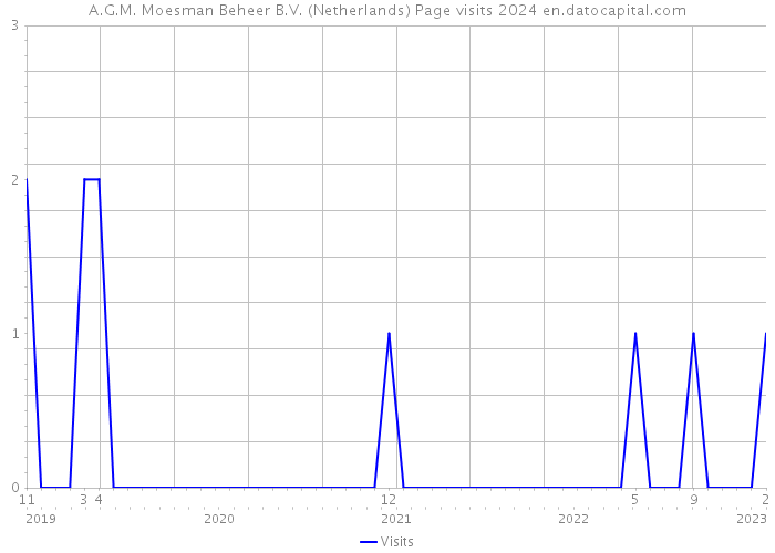 A.G.M. Moesman Beheer B.V. (Netherlands) Page visits 2024 