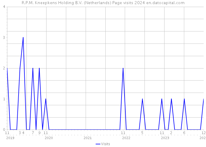 R.P.M. Kneepkens Holding B.V. (Netherlands) Page visits 2024 