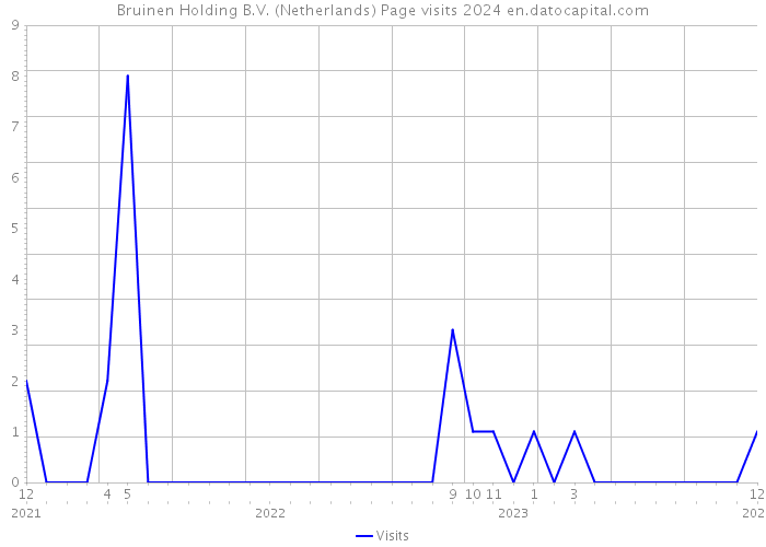 Bruinen Holding B.V. (Netherlands) Page visits 2024 