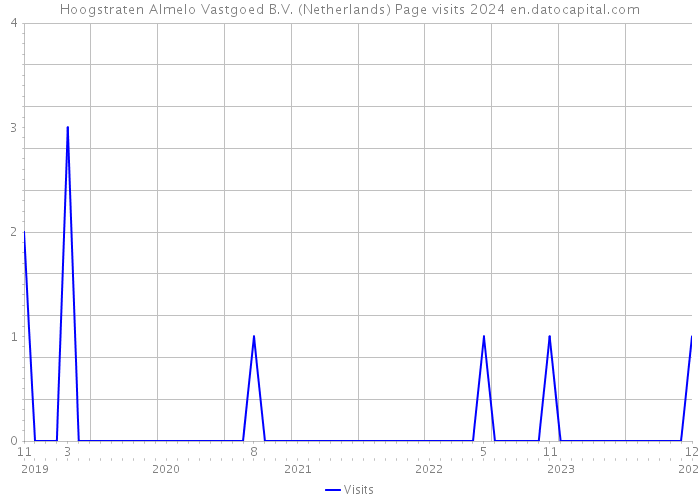 Hoogstraten Almelo Vastgoed B.V. (Netherlands) Page visits 2024 