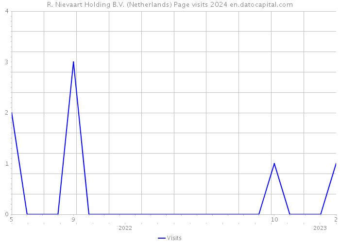 R. Nievaart Holding B.V. (Netherlands) Page visits 2024 