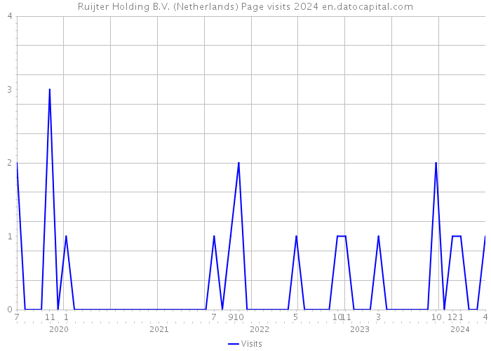 Ruijter Holding B.V. (Netherlands) Page visits 2024 