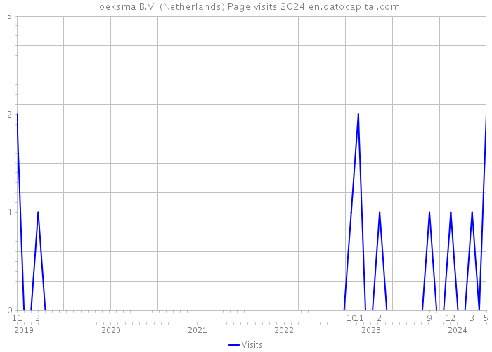 Hoeksma B.V. (Netherlands) Page visits 2024 