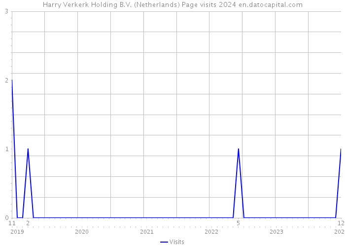 Harry Verkerk Holding B.V. (Netherlands) Page visits 2024 
