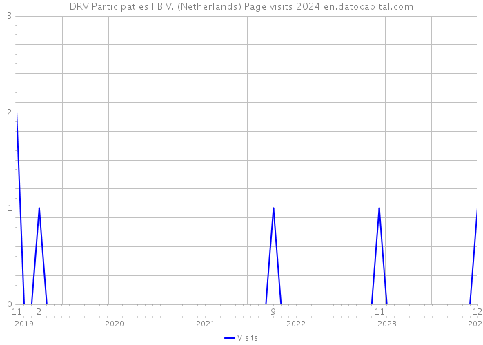 DRV Participaties I B.V. (Netherlands) Page visits 2024 