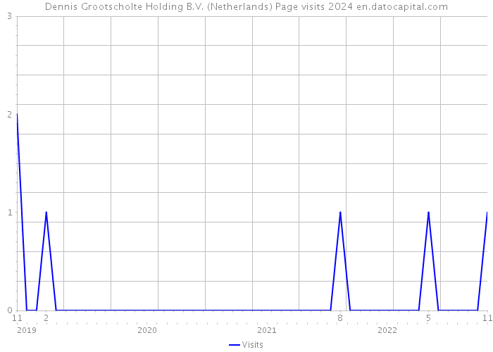 Dennis Grootscholte Holding B.V. (Netherlands) Page visits 2024 
