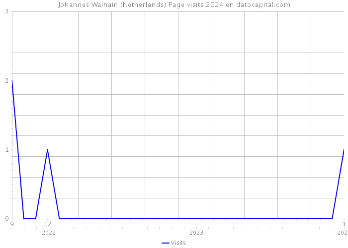 Johannes Walhain (Netherlands) Page visits 2024 
