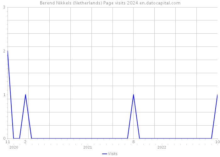 Berend Nikkels (Netherlands) Page visits 2024 