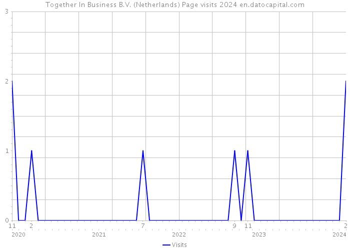 Together In Business B.V. (Netherlands) Page visits 2024 