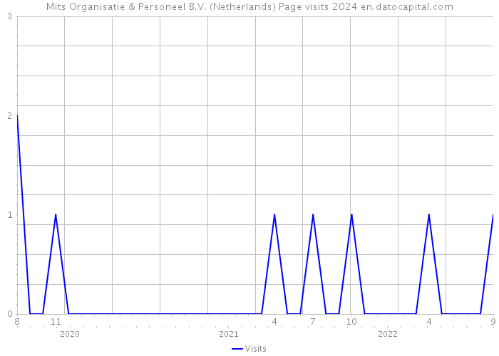 Mits Organisatie & Personeel B.V. (Netherlands) Page visits 2024 