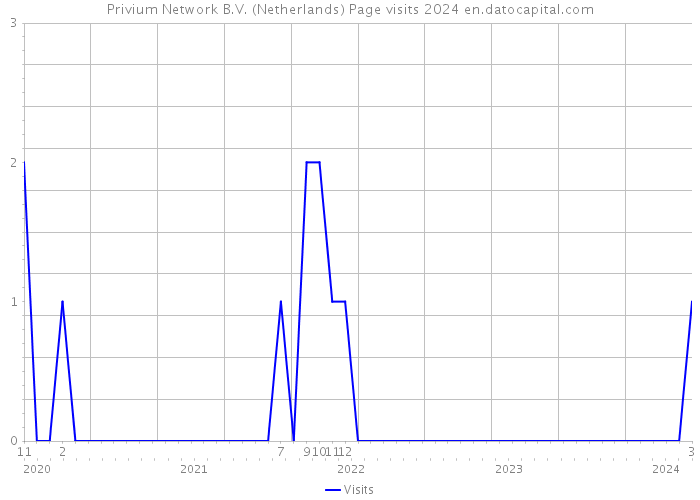 Privium Network B.V. (Netherlands) Page visits 2024 