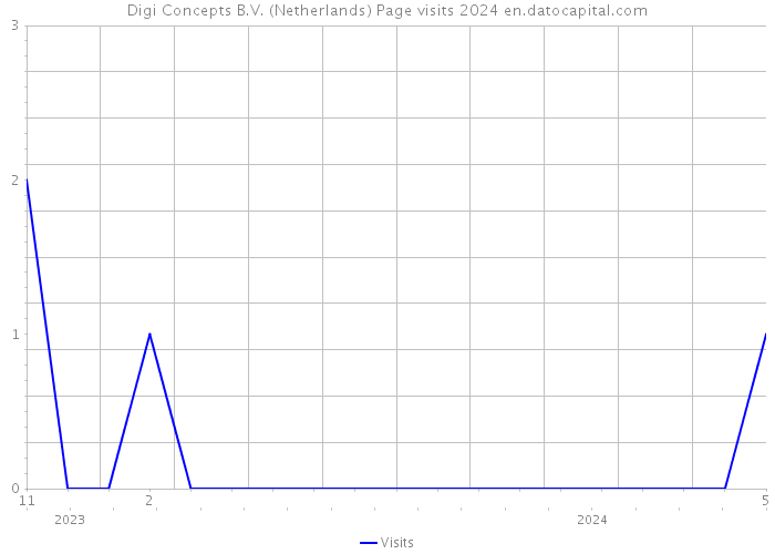 Digi Concepts B.V. (Netherlands) Page visits 2024 