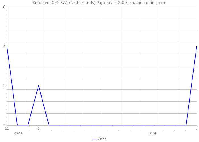 Smolders SSO B.V. (Netherlands) Page visits 2024 
