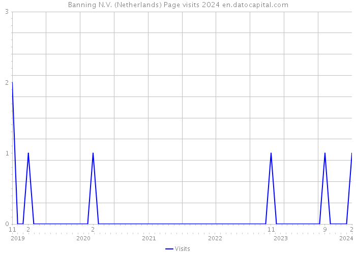 Banning N.V. (Netherlands) Page visits 2024 
