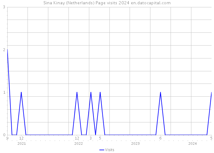Sina Kinay (Netherlands) Page visits 2024 
