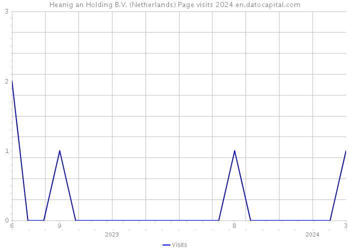 Heanig an Holding B.V. (Netherlands) Page visits 2024 