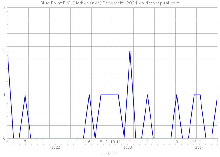 Blue Point B.V. (Netherlands) Page visits 2024 