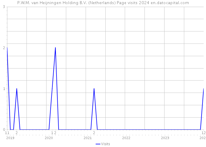 P.W.M. van Heijningen Holding B.V. (Netherlands) Page visits 2024 