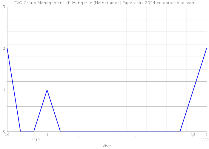 CVO Group Management Kft Hongarije (Netherlands) Page visits 2024 