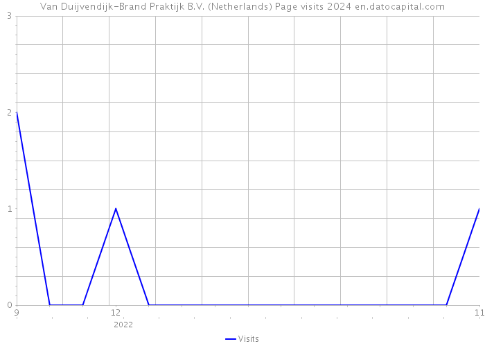 Van Duijvendijk-Brand Praktijk B.V. (Netherlands) Page visits 2024 