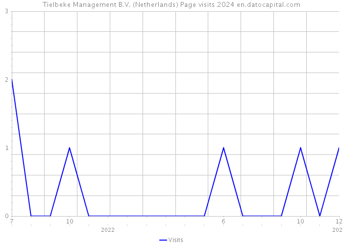 Tielbeke Management B.V. (Netherlands) Page visits 2024 