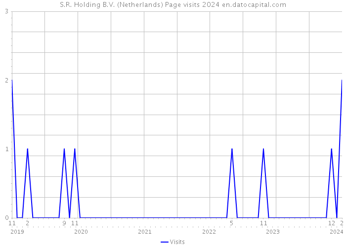 S.R. Holding B.V. (Netherlands) Page visits 2024 