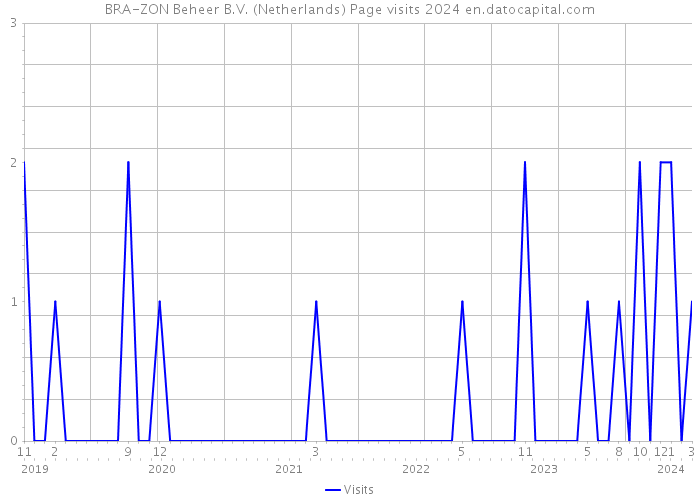 BRA-ZON Beheer B.V. (Netherlands) Page visits 2024 