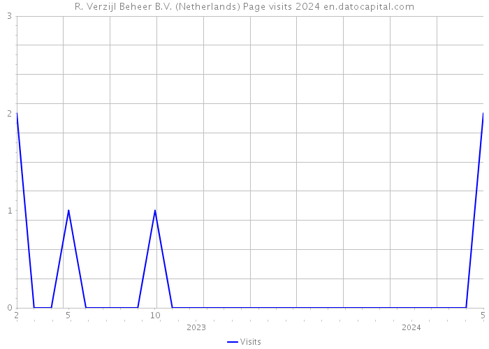 R. Verzijl Beheer B.V. (Netherlands) Page visits 2024 