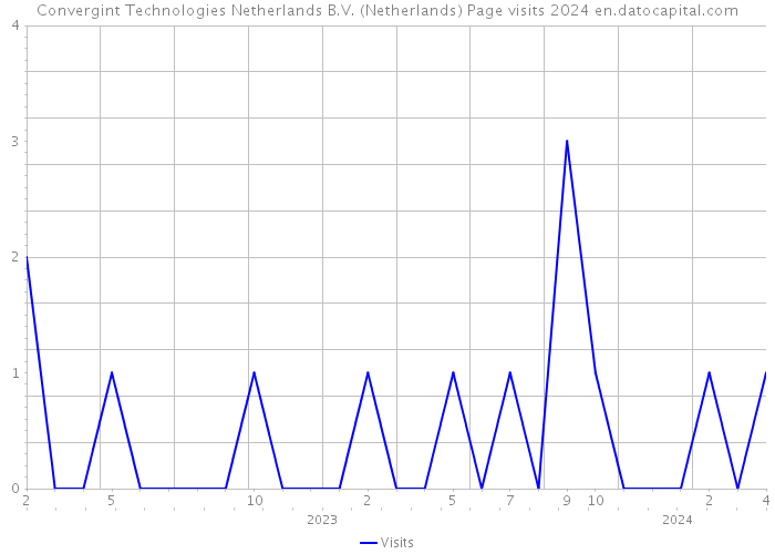 Convergint Technologies Netherlands B.V. (Netherlands) Page visits 2024 