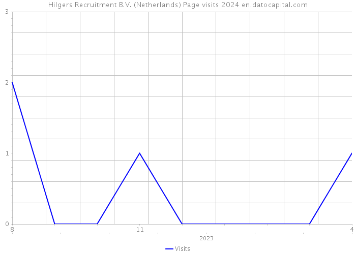 Hilgers Recruitment B.V. (Netherlands) Page visits 2024 