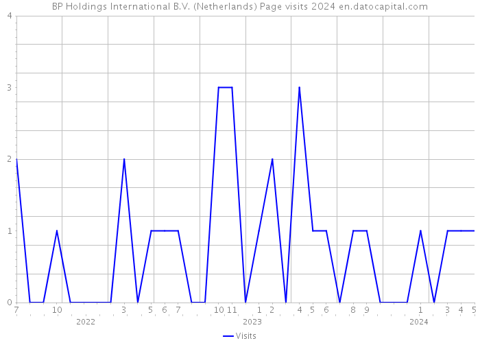 BP Holdings International B.V. (Netherlands) Page visits 2024 