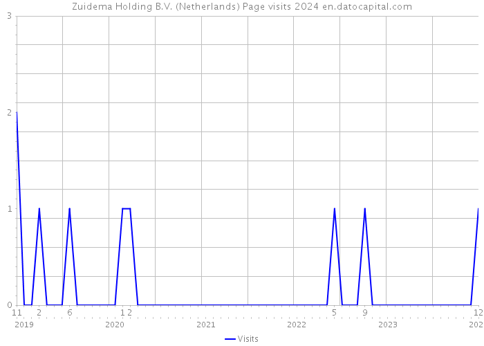Zuidema Holding B.V. (Netherlands) Page visits 2024 