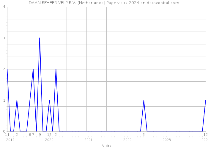 DAAN BEHEER VELP B.V. (Netherlands) Page visits 2024 