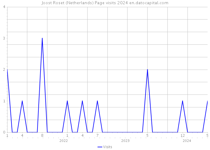 Joost Roset (Netherlands) Page visits 2024 