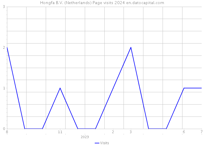 Hongfa B.V. (Netherlands) Page visits 2024 