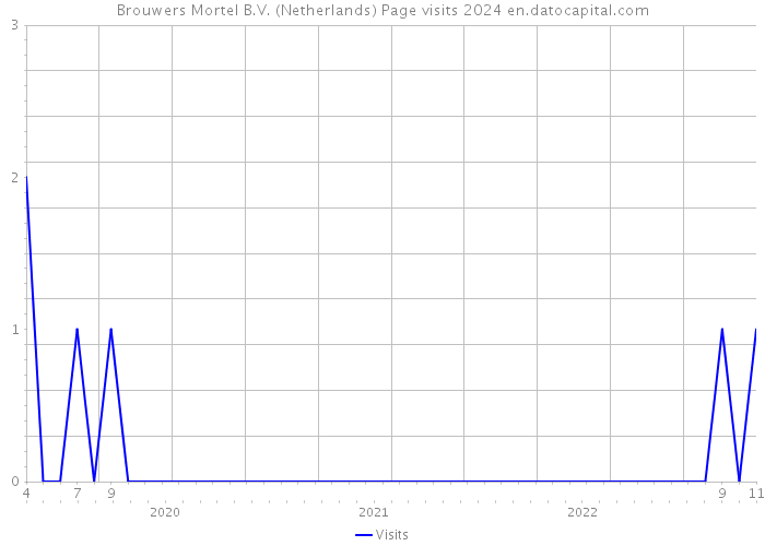 Brouwers Mortel B.V. (Netherlands) Page visits 2024 