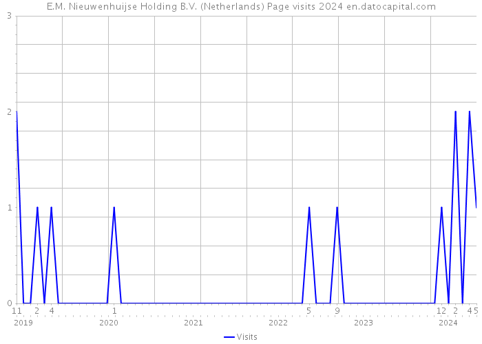 E.M. Nieuwenhuijse Holding B.V. (Netherlands) Page visits 2024 