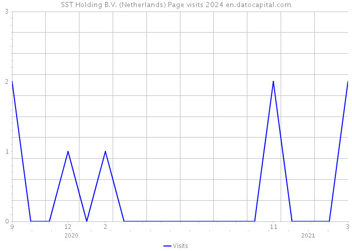 SST Holding B.V. (Netherlands) Page visits 2024 