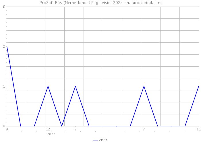 ProSoft B.V. (Netherlands) Page visits 2024 