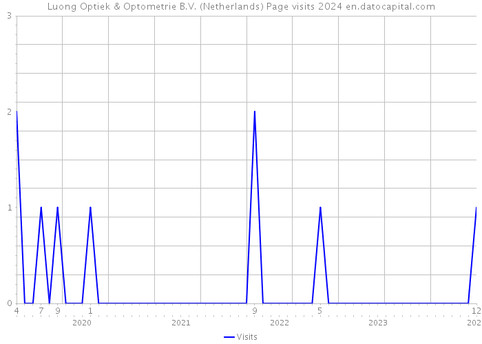 Luong Optiek & Optometrie B.V. (Netherlands) Page visits 2024 