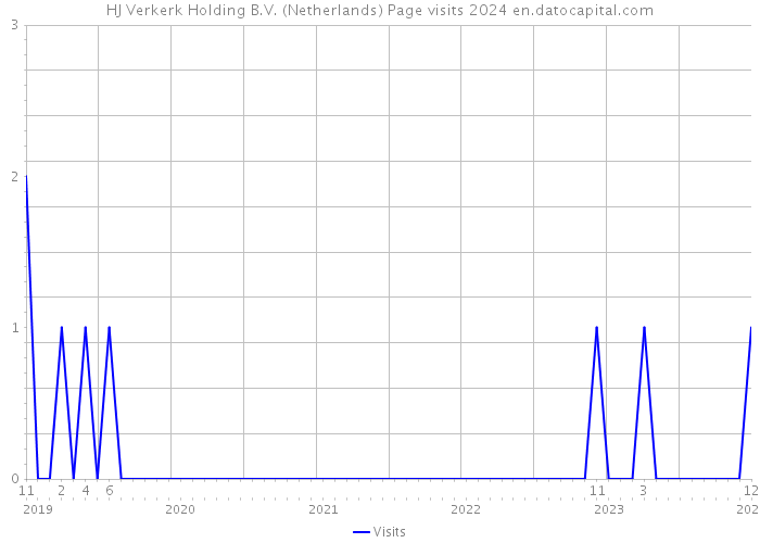 HJ Verkerk Holding B.V. (Netherlands) Page visits 2024 