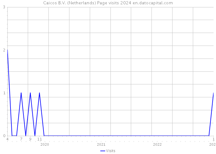 Caicos B.V. (Netherlands) Page visits 2024 