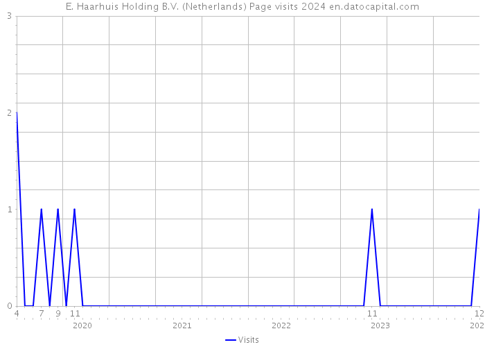 E. Haarhuis Holding B.V. (Netherlands) Page visits 2024 