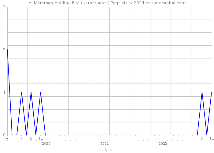 H. Marsman Holding B.V. (Netherlands) Page visits 2024 