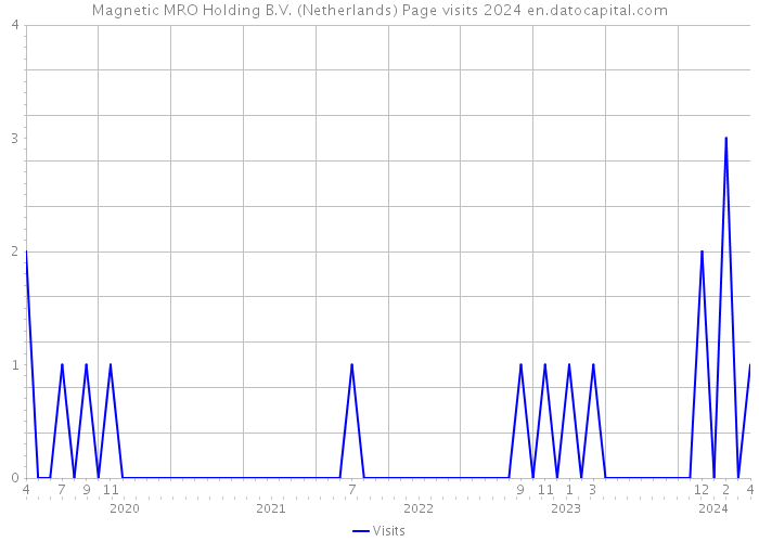 Magnetic MRO Holding B.V. (Netherlands) Page visits 2024 