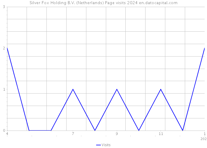 Silver Fox Holding B.V. (Netherlands) Page visits 2024 