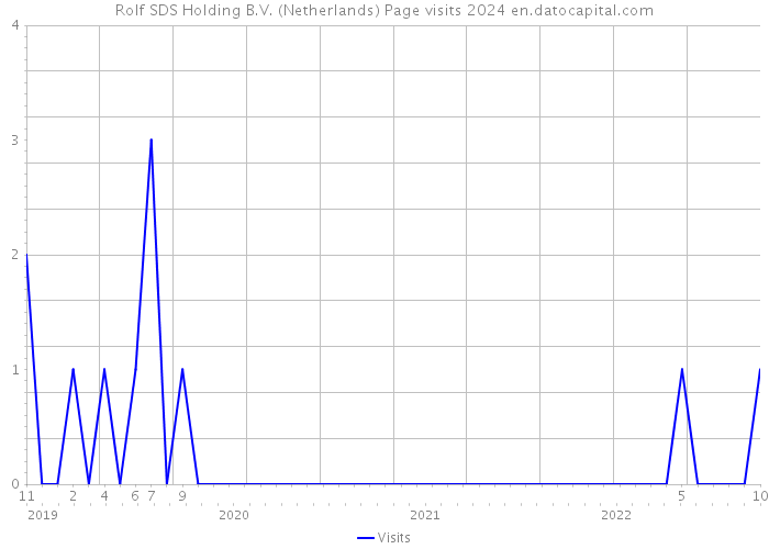 Rolf SDS Holding B.V. (Netherlands) Page visits 2024 