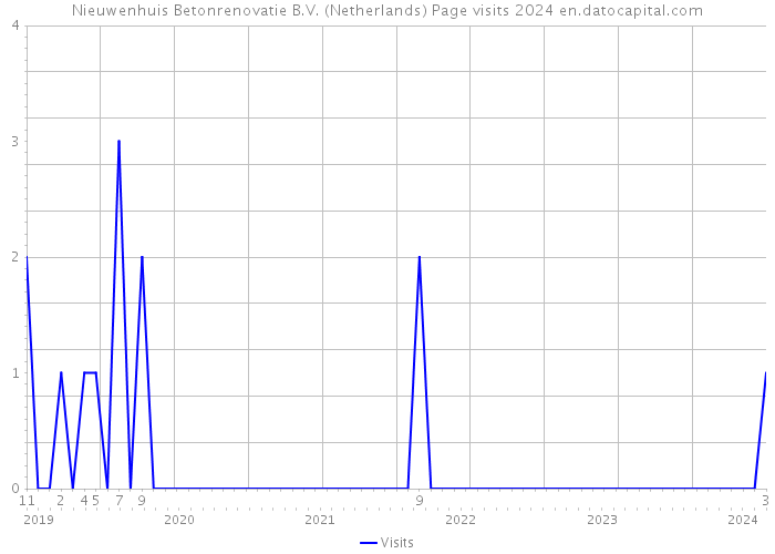 Nieuwenhuis Betonrenovatie B.V. (Netherlands) Page visits 2024 