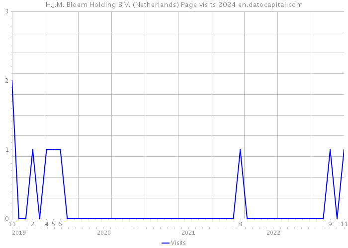 H.J.M. Bloem Holding B.V. (Netherlands) Page visits 2024 